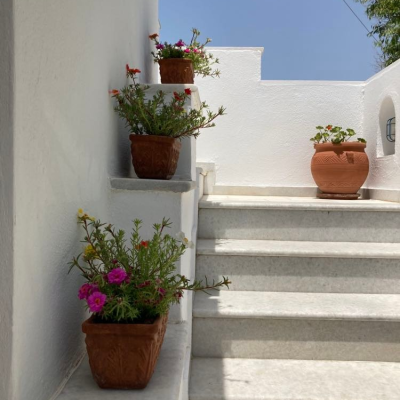 Εικόνα 01